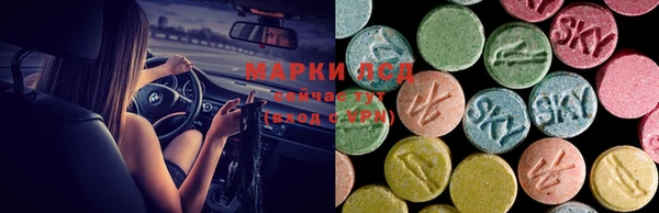 бошки Новокубанск