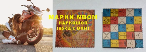 крисы Абаза