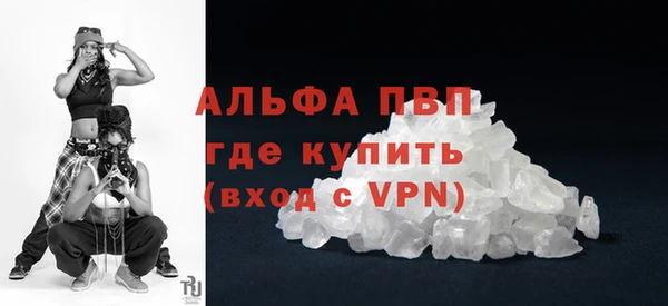 амф Новодвинск