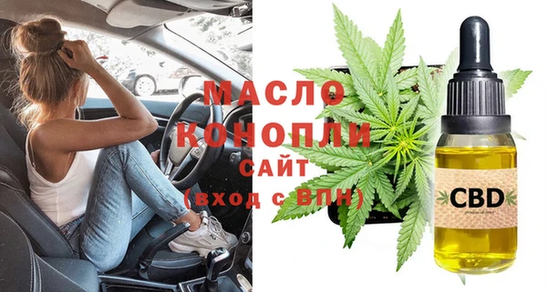 крисы Абаза