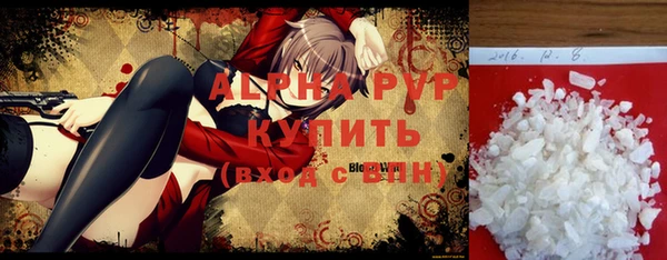 крисы Абаза