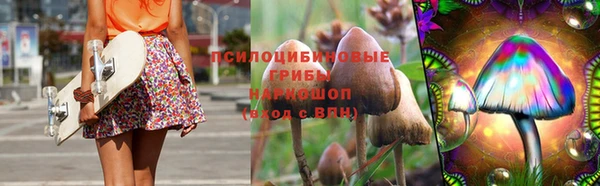 крисы Абаза